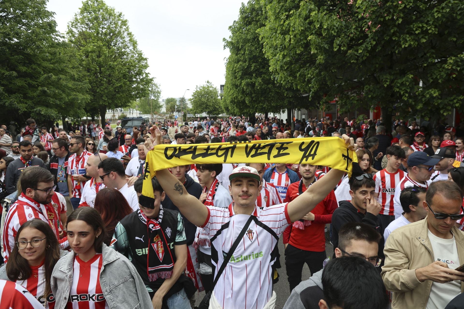 ¿Estuviste en el Sporting de Gijón - Cartagena? ¡Búscate entre las fotos!