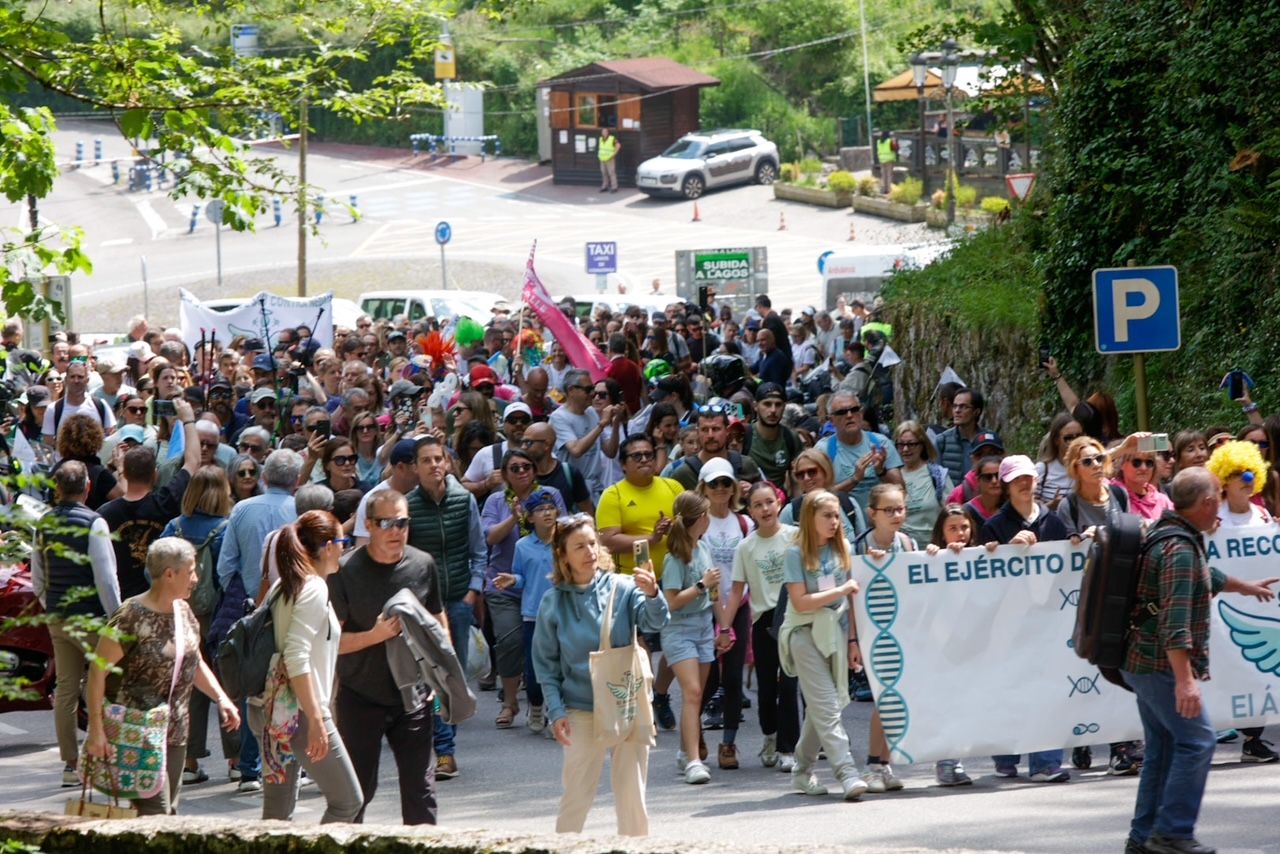 Al grito de ¡Javi, Javi! Así llegó a Covadonga la marcha contra el Nedamss