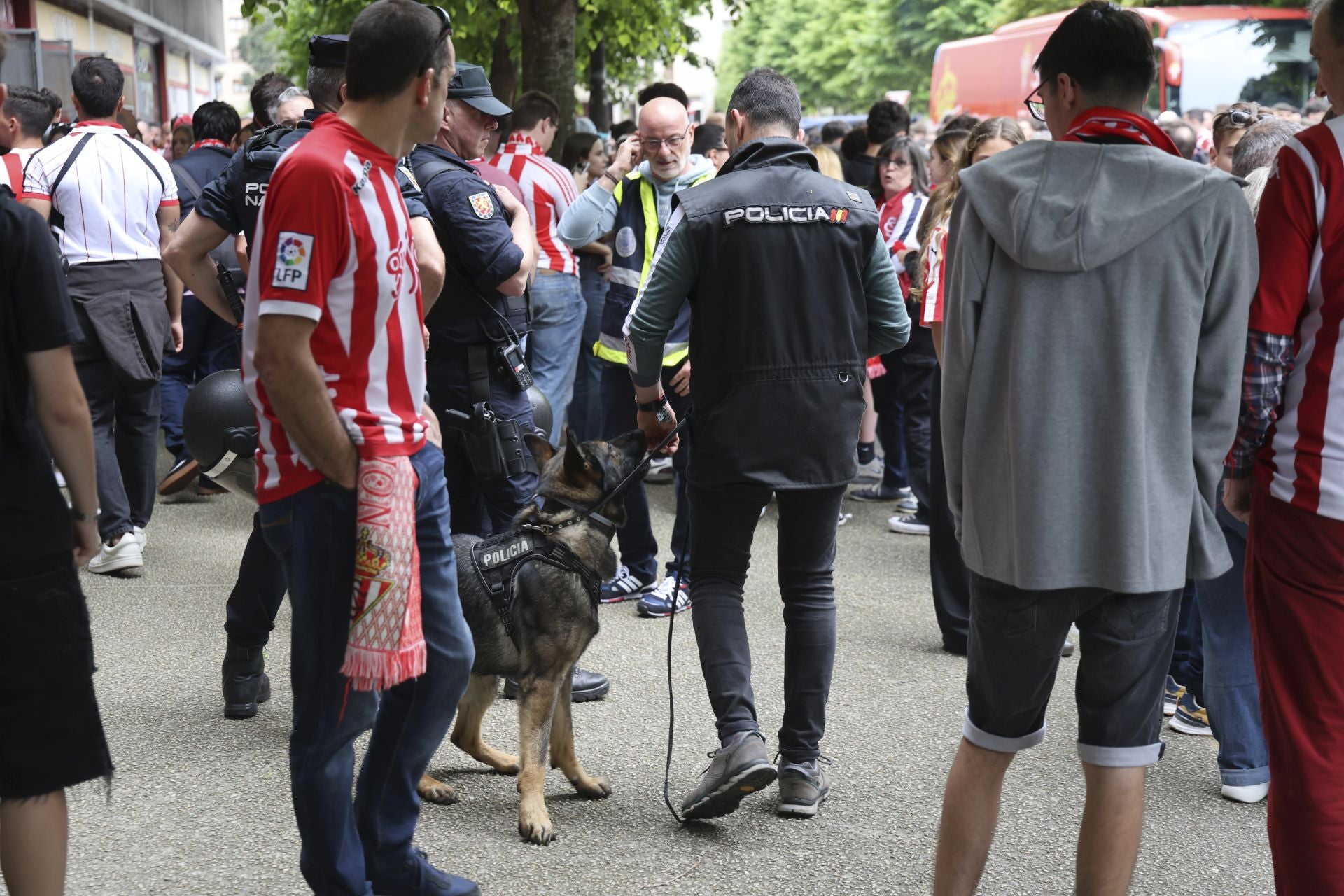 Sporting de Gijón - Cartagena: despedida a la temporada y a un inolvidable Cote, en imágenes