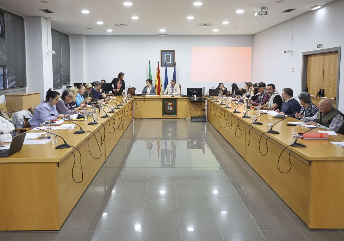 El Pleno municipal de Castrillón.