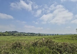 Terrenos donde se ubicará la futura ciudad deportiva del Oviedo, en las inmediaciones del Acuartelamiento Cabo Noval en Siero.