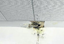 Una de las zonas afectadas por la filtración de agua sobre el ascensor.