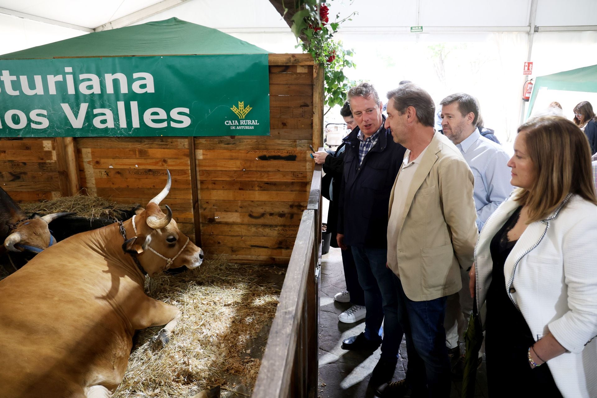 Fotos: Oviedo celebra su Feria de La Ascensión