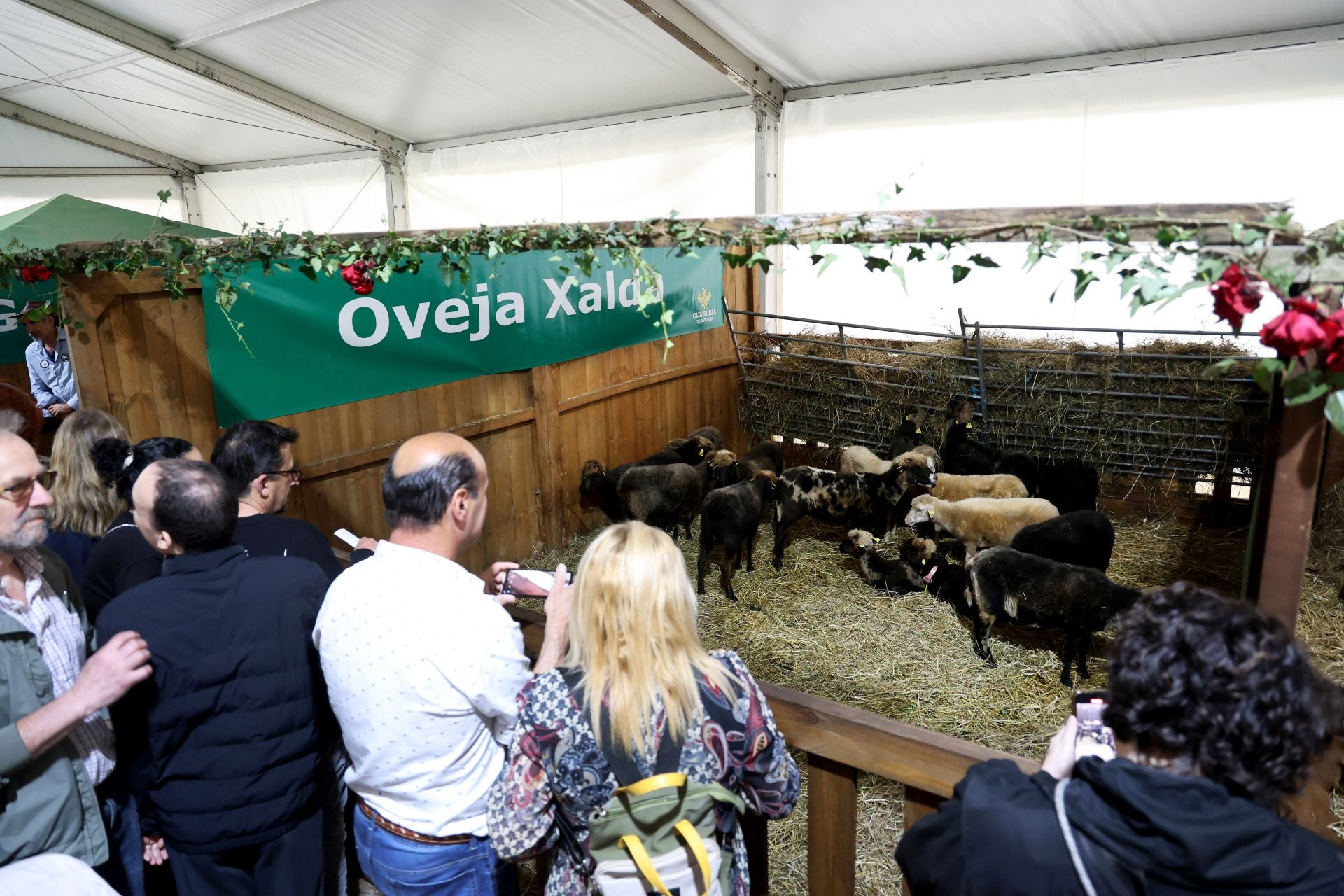 Fotos: Oviedo celebra su Feria de La Ascensión