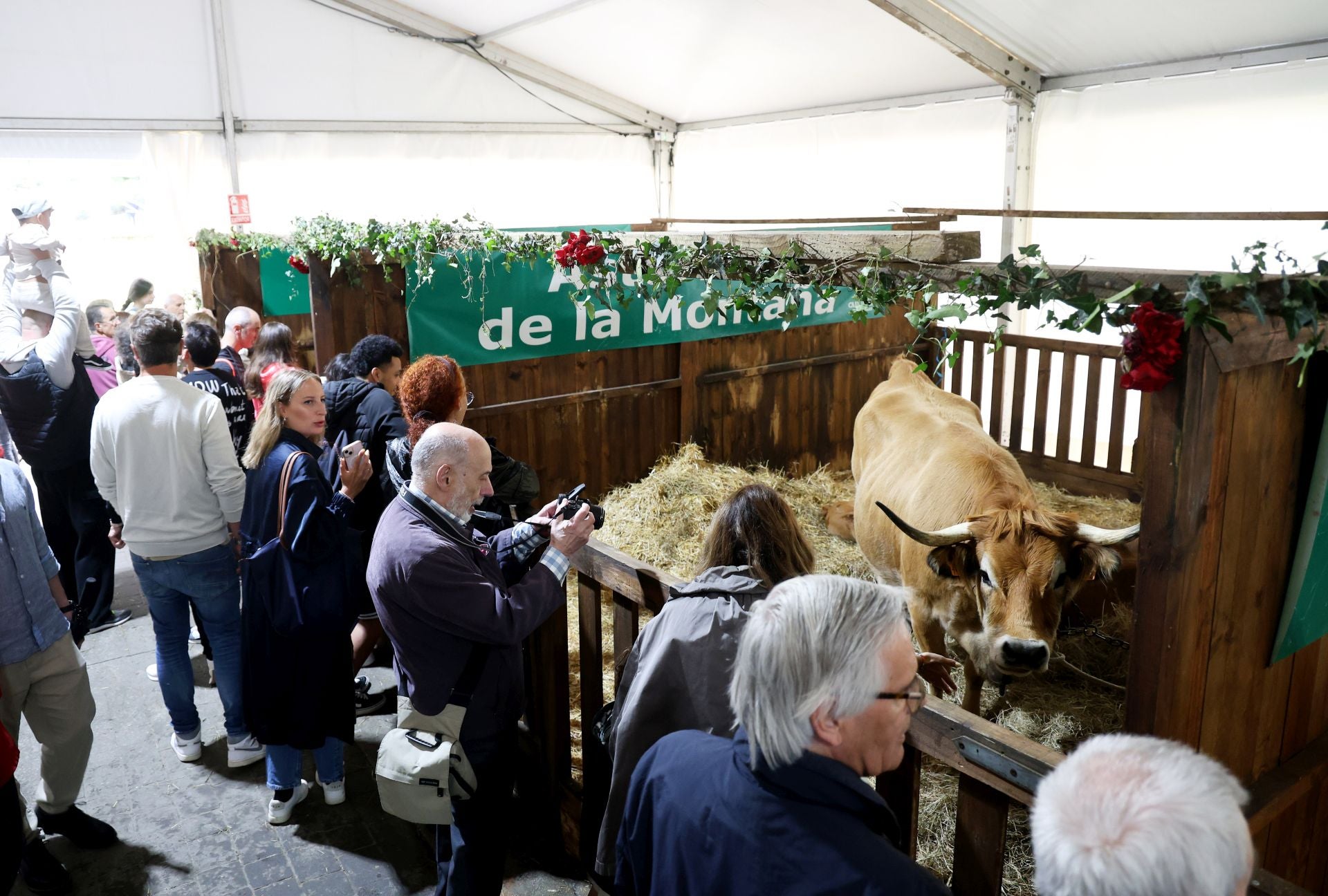 Fotos: Oviedo celebra su Feria de La Ascensión