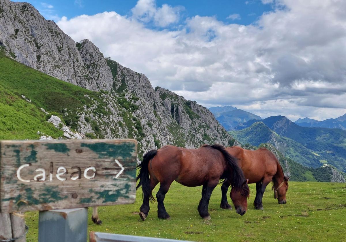 Cuatro fines de semana de junio y cuatro excursiones por Asturias
