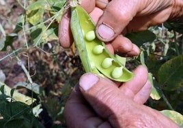 «Sin agricultores y ganaderos, no hay medio ambiente que salvar»