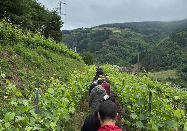 Los socios de masymas durante la visita a las bodegas