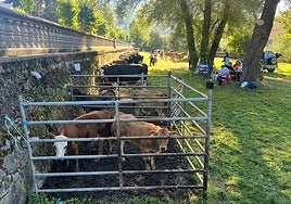Feria del ganado en el parque blimeíno de El Florán en la pasada edición de la Femex