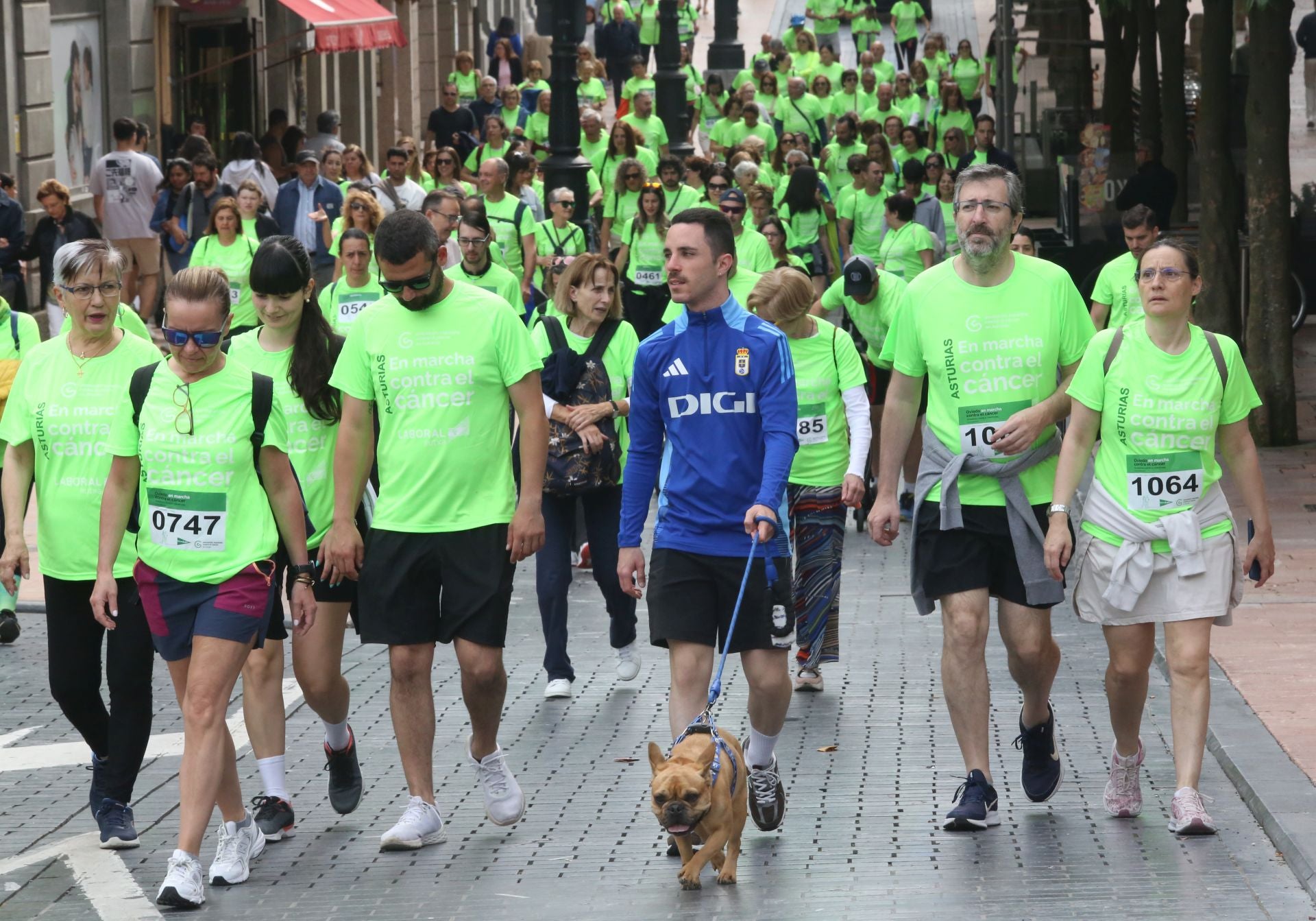 Oviedo, en marcha contra el cáncer: las imágenes de la carrera solidaria