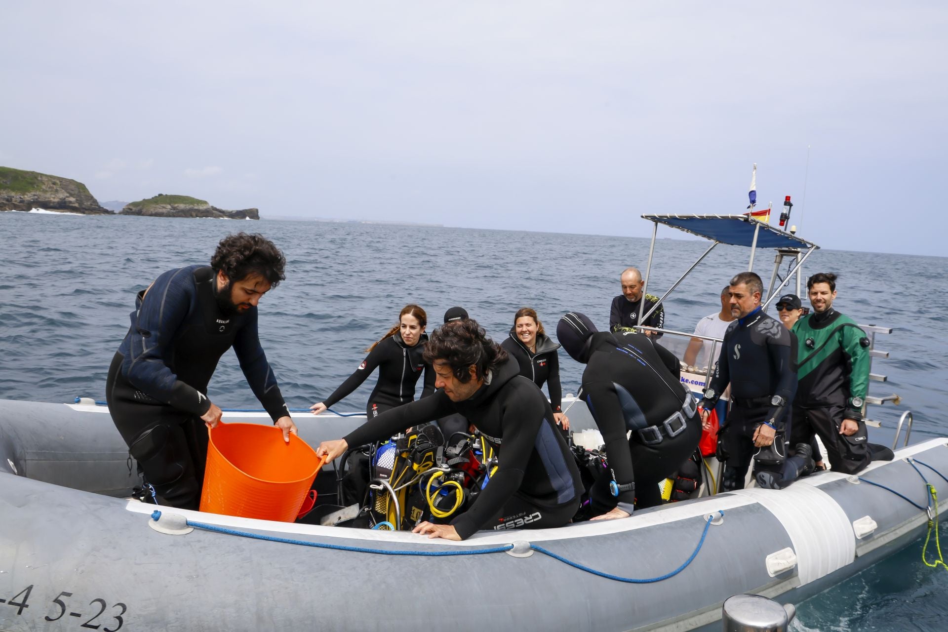 Suelta de 50 crías de tiburón pintarroja al mar en Gijón