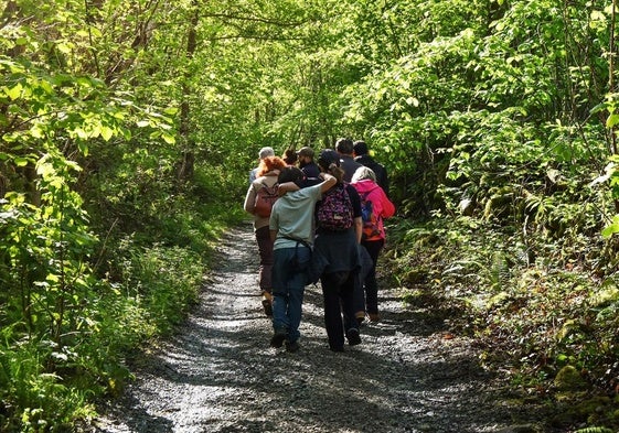'Siguiendo la corriente'. Paseos biointerpretados, tranquilos y para toda la familia, con un recorrido ideado para descubrir todos los secretos y detalles del mundo salvaje que habita los paisajes de Ribera del Parque Natural de Redes.