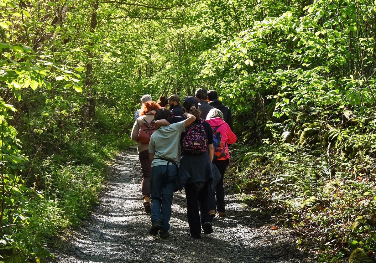 'Siguiendo la corriente'. Paseos biointerpretados, tranquilos y para toda la familia, con un recorrido ideado para descubrir todos los secretos y detalles del mundo salvaje que habita los paisajes de Ribera del Parque Natural de Redes.