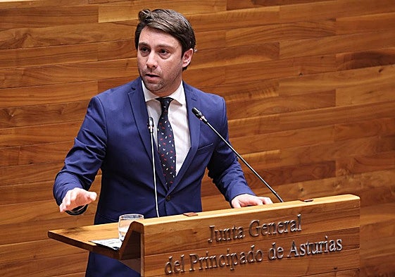 El diputado y presidente del PP de Gijón defendió en el pleno la proposición no de ley para instar al Gobierno a que pida al Puerto que entregue la franja litoral de Naval Gijón.