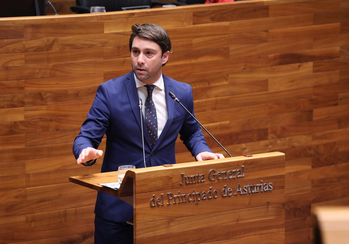 El diputado y presidente del PP de Gijón defendió en el pleno la proposición no de ley para instar al Gobierno a que pida al Puerto que entregue la franja litoral de Naval Gijón.