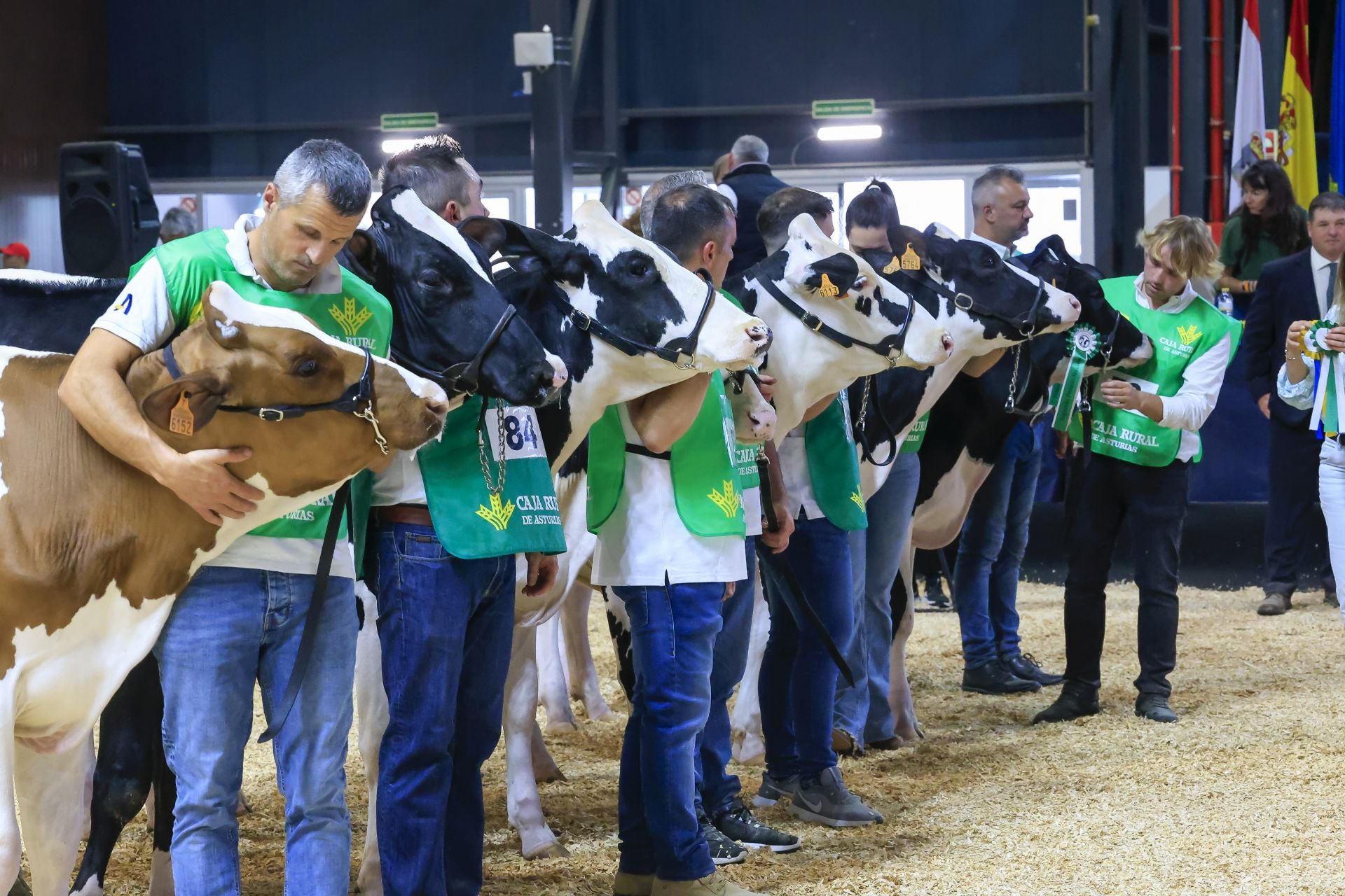 Fotos: Feria de San Antonio en Gijón