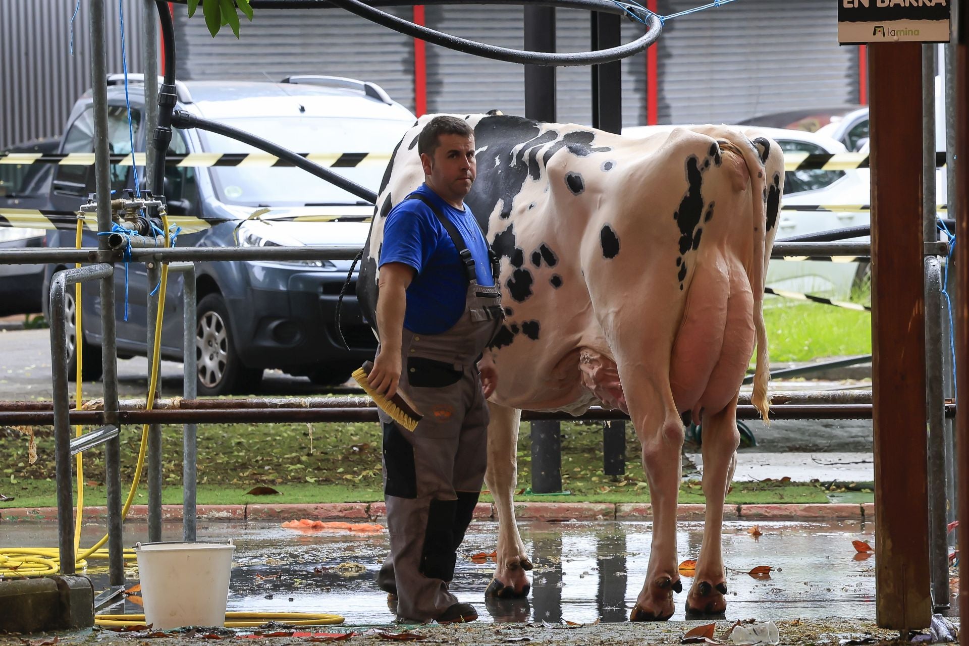Fotos: Feria de San Antonio en Gijón