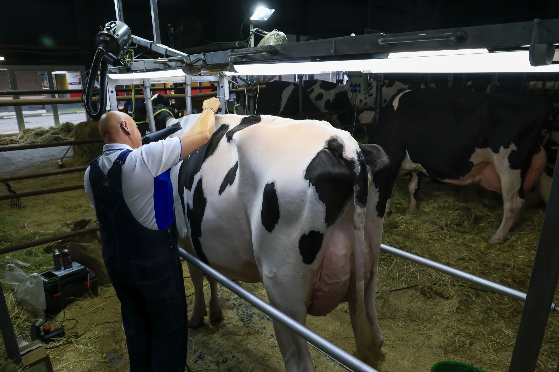 Fotos: Feria de San Antonio en Gijón