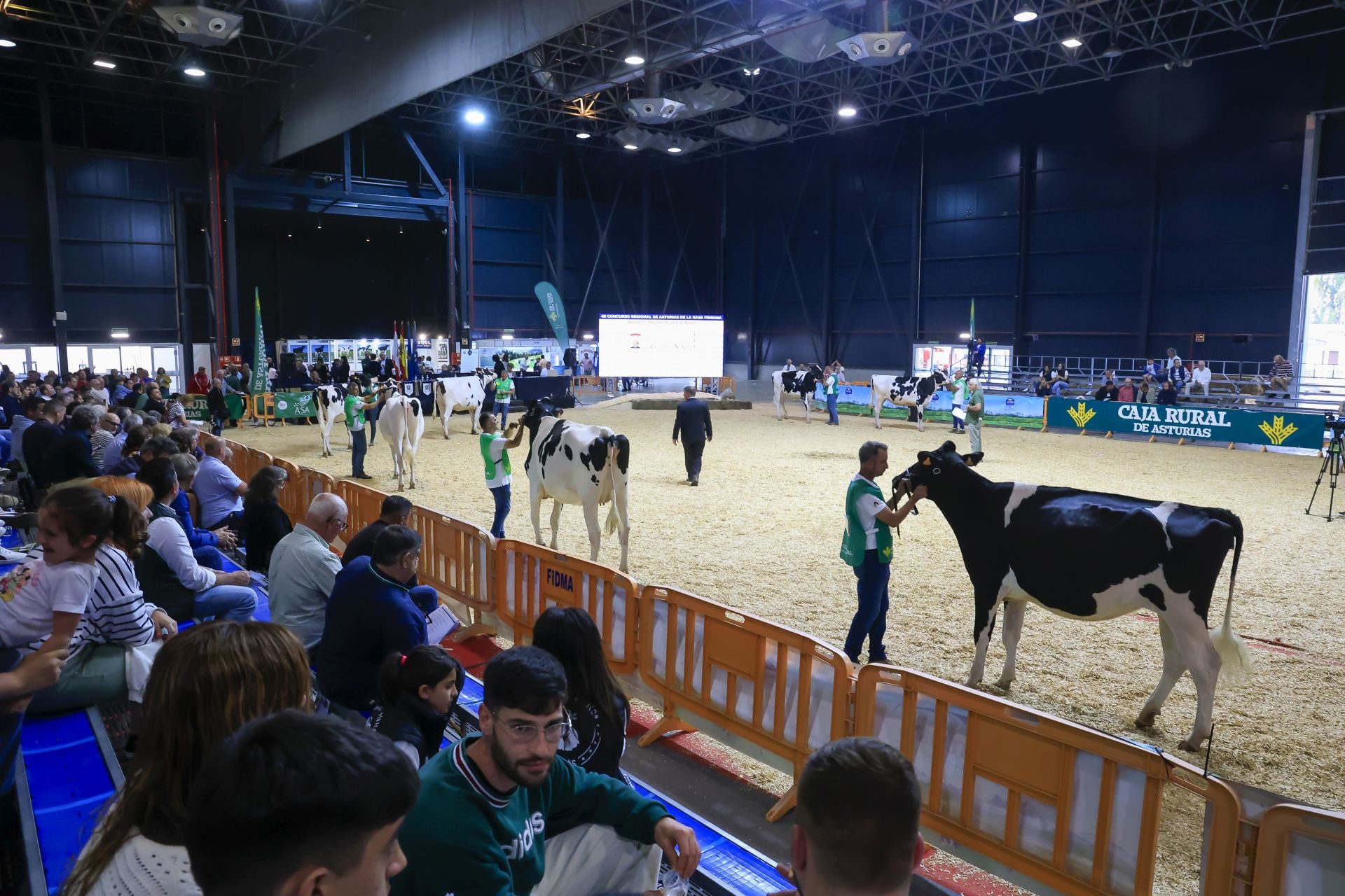 Fotos: Feria de San Antonio en Gijón