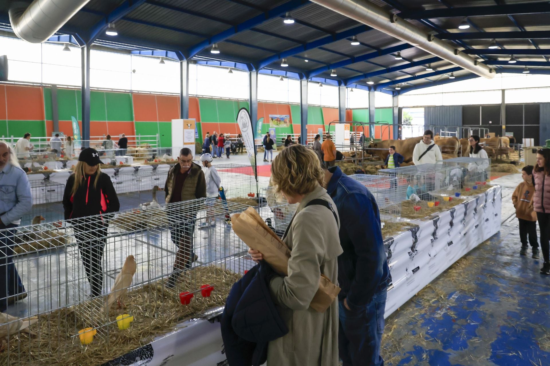Fotos: Feria de San Antonio en Gijón