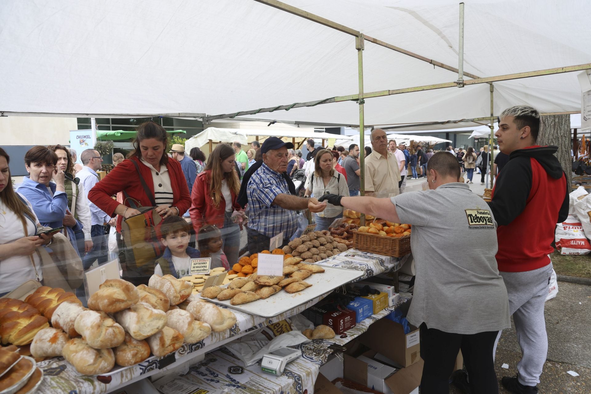 Concurso de manejadores en la Feria de San Antonio en Gijón, en imágenes