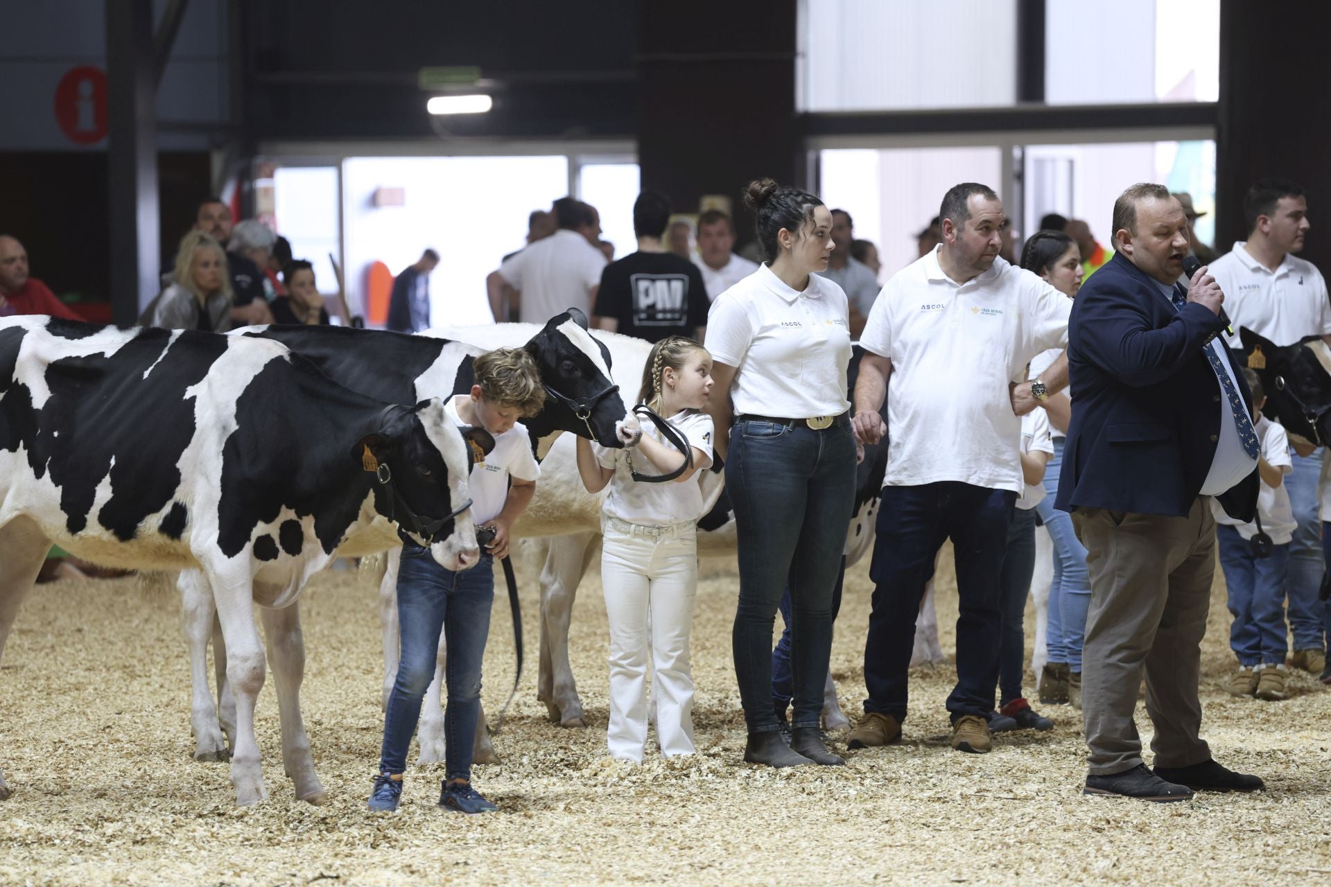 Concurso de manejadores en la Feria de San Antonio en Gijón, en imágenes