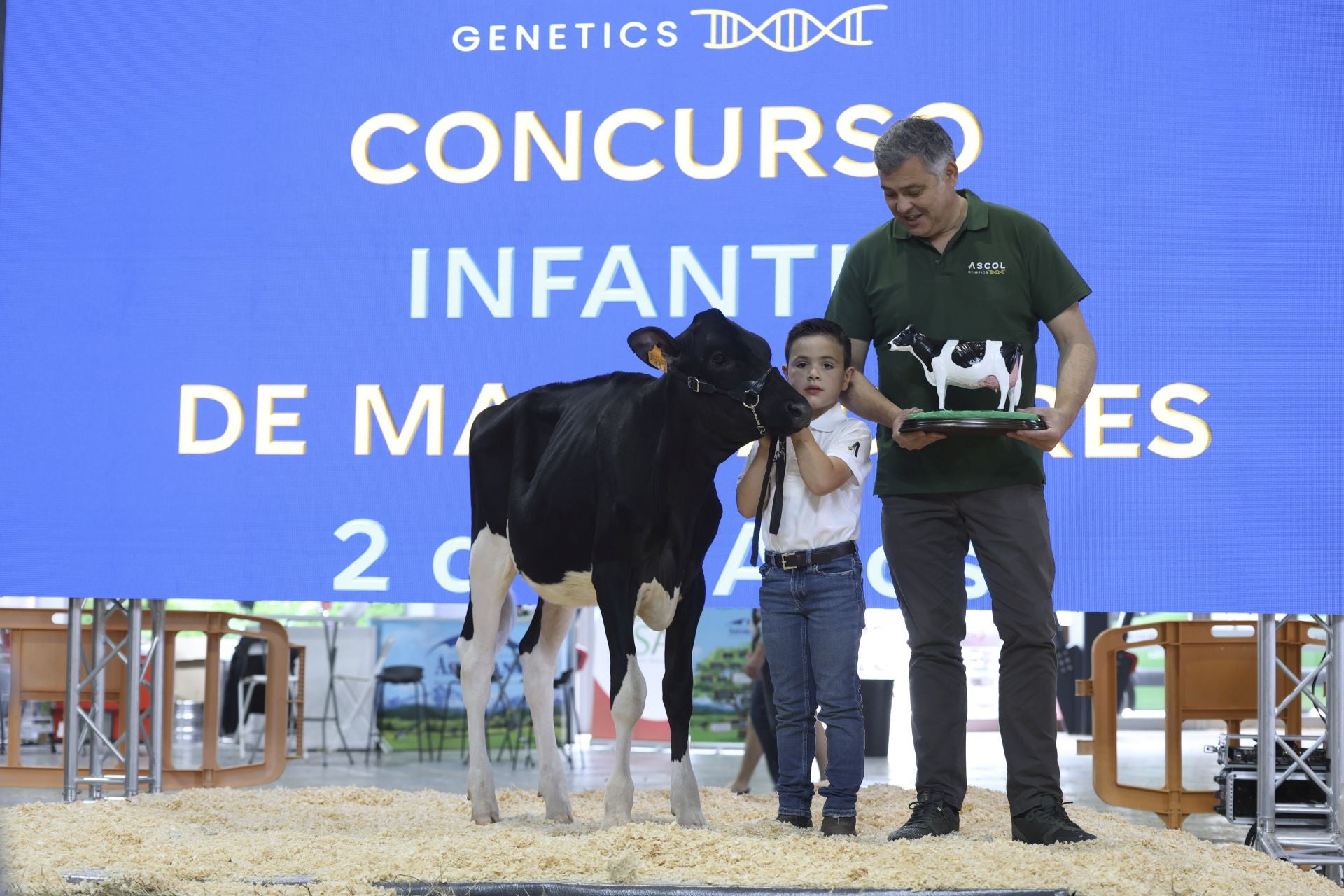 Concurso de manejadores en la Feria de San Antonio en Gijón, en imágenes