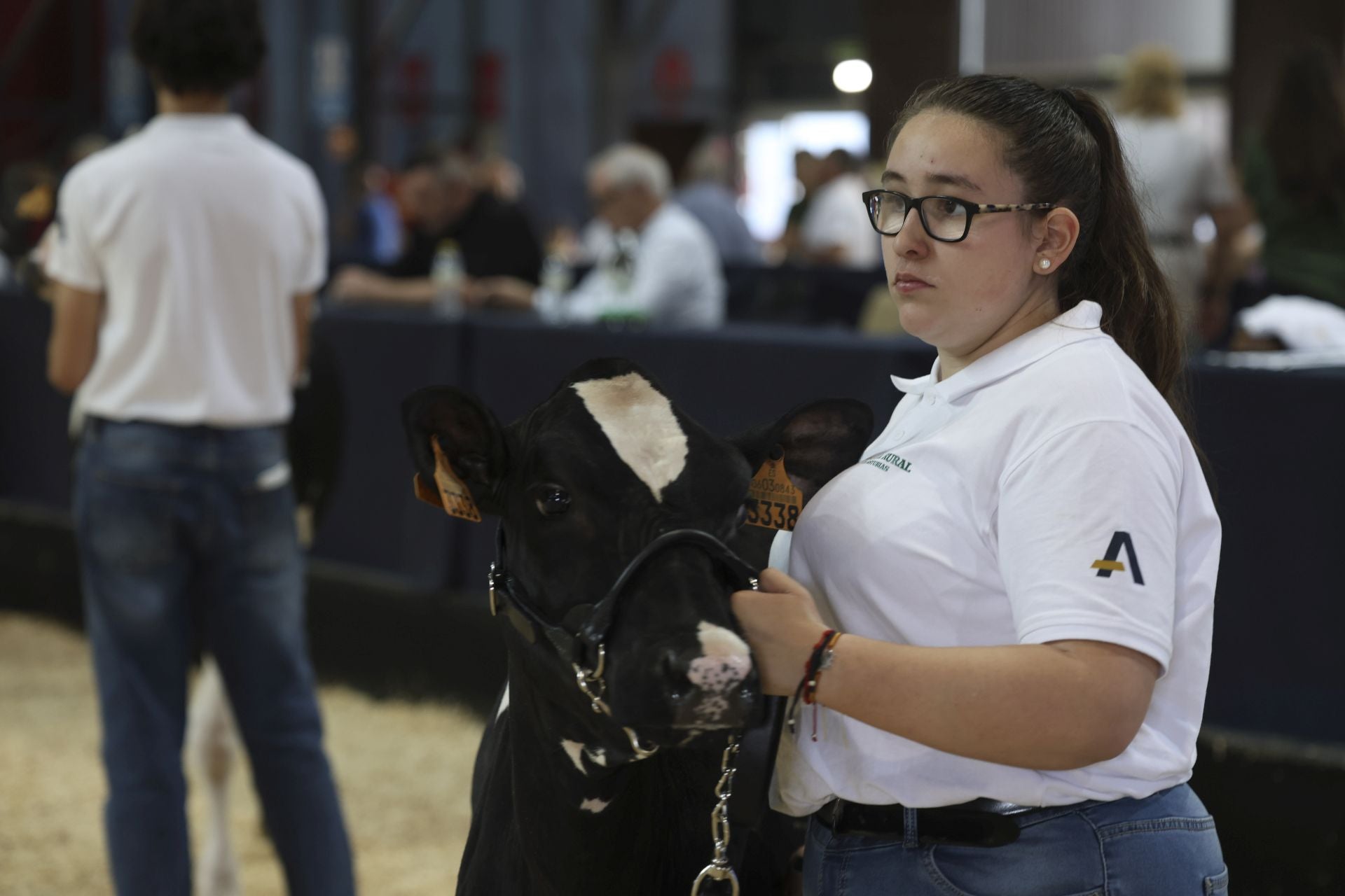 Concurso de manejadores en la Feria de San Antonio en Gijón, en imágenes