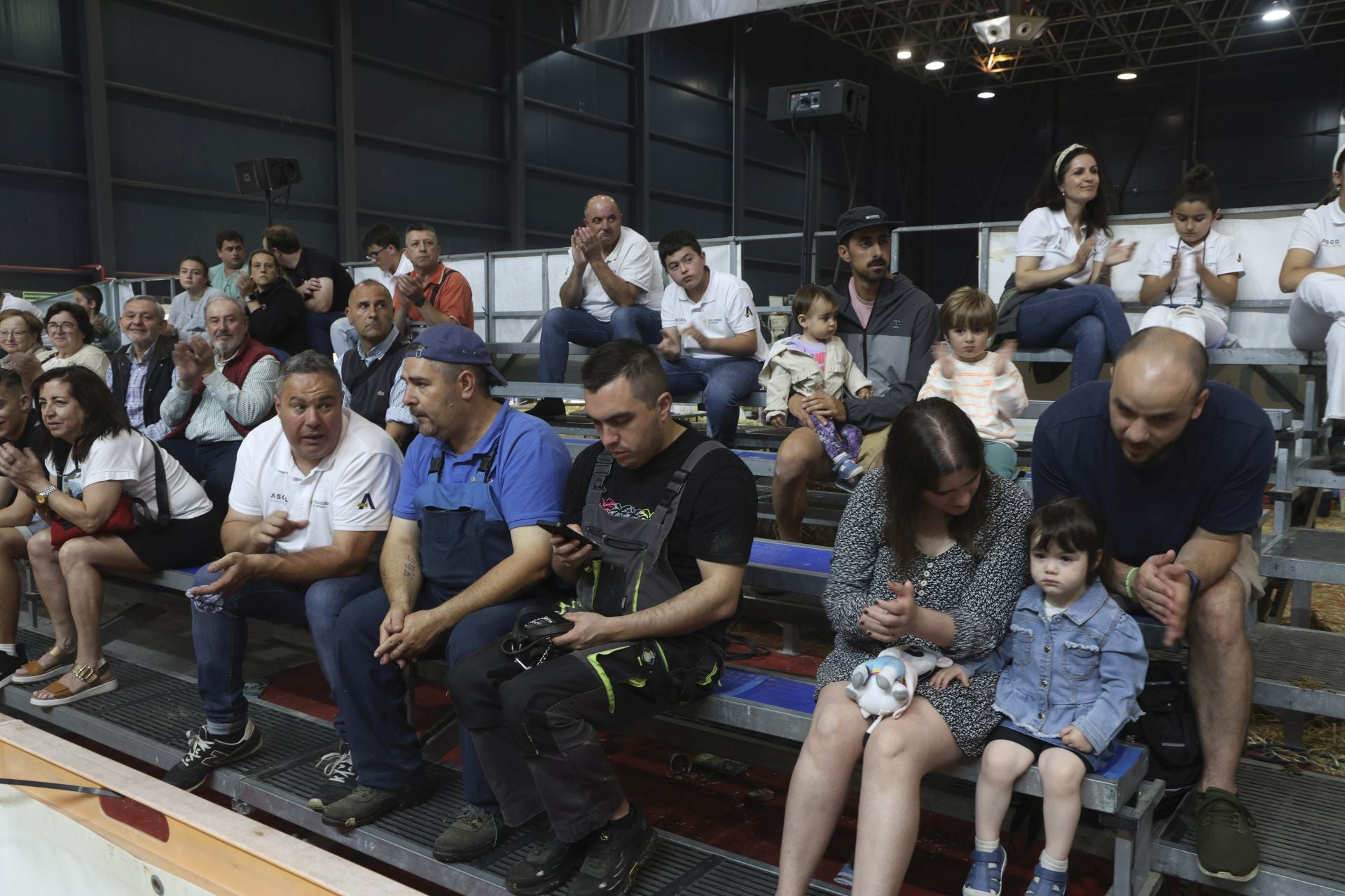 Concurso de manejadores en la Feria de San Antonio en Gijón, en imágenes