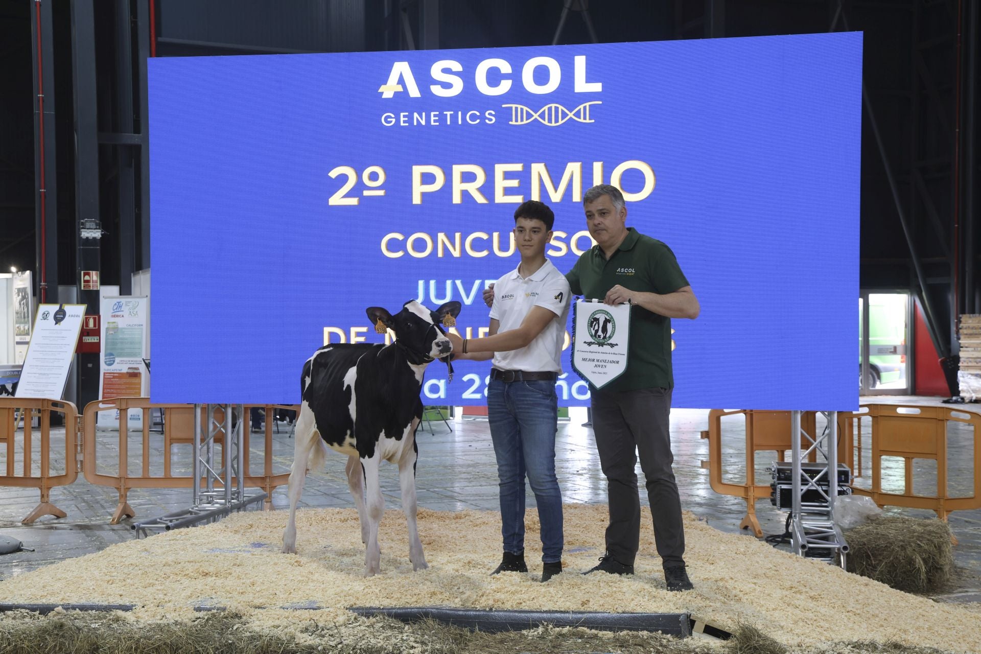 Concurso de manejadores en la Feria de San Antonio en Gijón, en imágenes