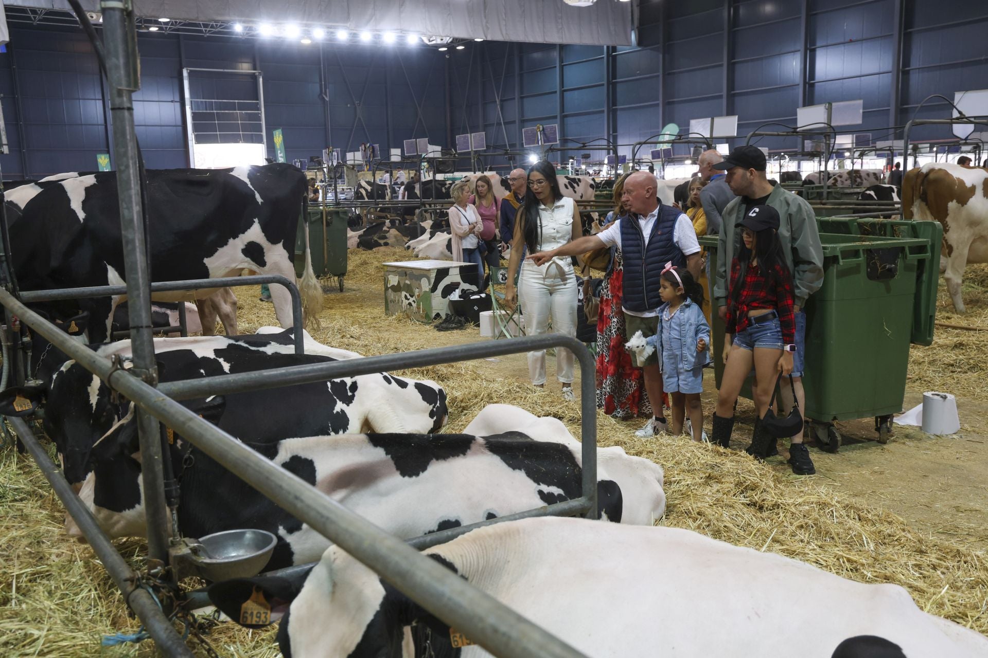 Concurso de manejadores en la Feria de San Antonio en Gijón, en imágenes
