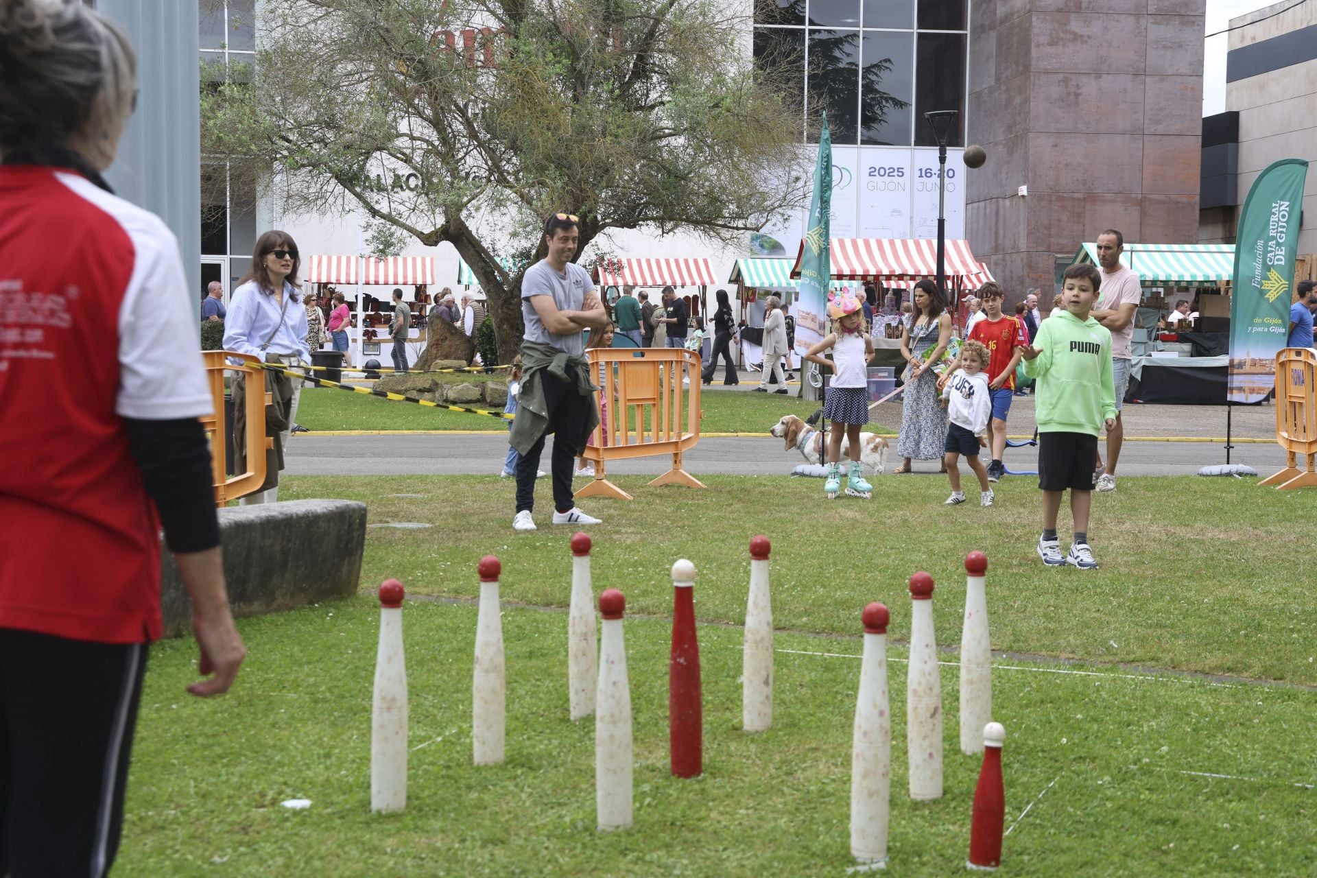 Concurso de manejadores en la Feria de San Antonio en Gijón, en imágenes