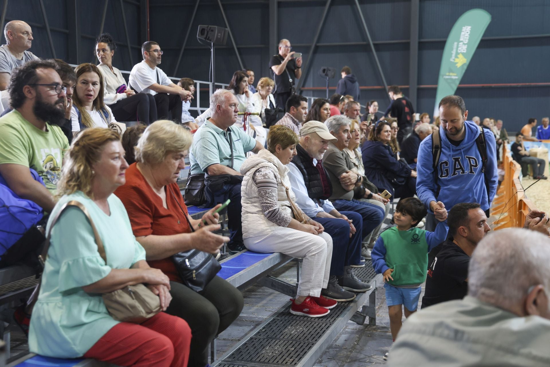 Concurso de manejadores en la Feria de San Antonio en Gijón, en imágenes