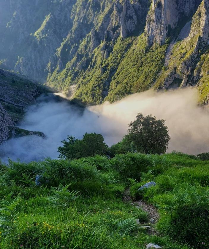 Imagen secundaria 2 - La ruta que -desde Camarmeña- recala en Ondón y luego en el Cuetón es dura pero también distinta, potente y salvaje: un recorrido por recodos de pastores y canales pindias que deja huella.