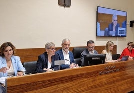 La consejera de Salud, Concepción Saavedra, durante la comparecencia en la Junta General.