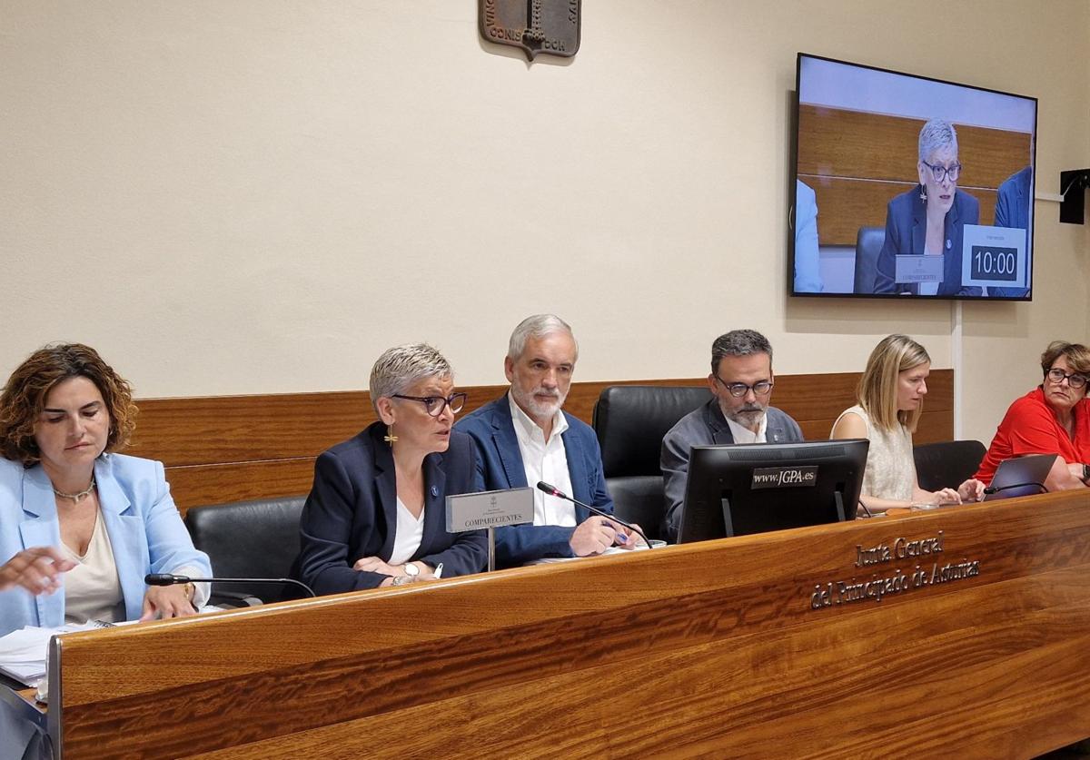 La consejera de Salud, Concepción Saavedra, durante la comparecencia en la Junta General.