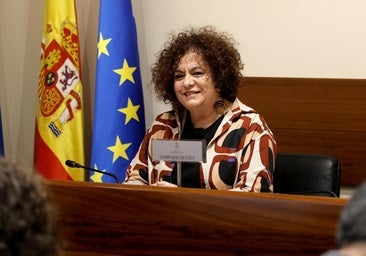 El Gobierno asturiano reforzará la plantilla de los centros de menores