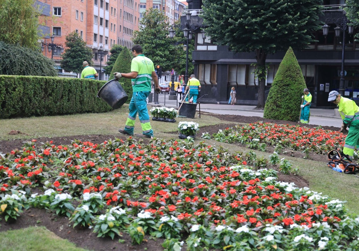 Los operarios de Parques y Jardines reponiendo las flores de la plaza de América tras las celebraciones del ascenso del Real Oviedo a Primera División.