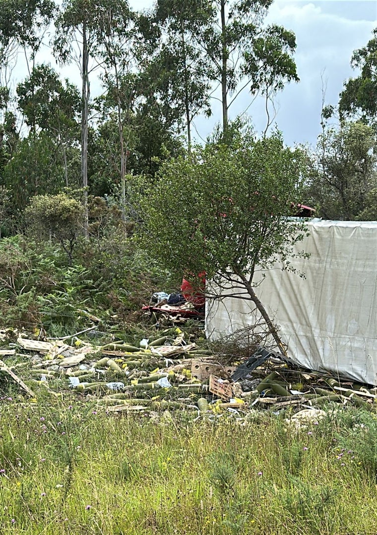 Imagen - Imagen del camión y de su carga, esparcida en la zona en que ocurrió el vuelco.