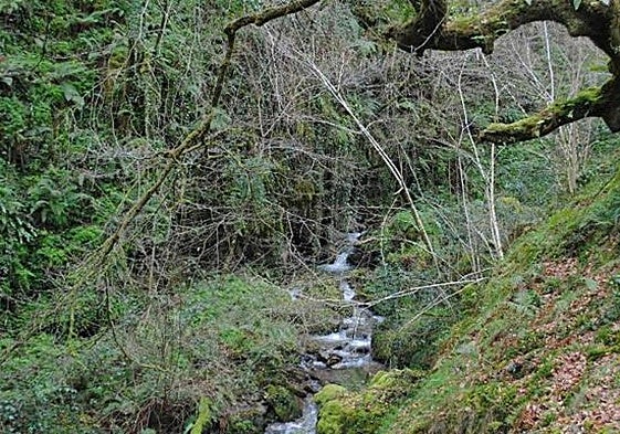 Foces del Río Pendón