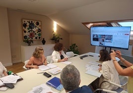 Un momento de la reunión telemática mantenida por la consejera con la presidenta de la Federación Asturiana de Concejos.