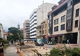 Tala de los árboles de La Cámara junto a la iglesia de Santo Tomás.