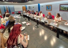 La vicepresidenta encabezó la reunión extraordinaria del Consejo Asturiano de la Mujer.