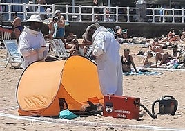 Dos hombres, con los trajes profesionales de apicultura, en San Lorenzo para retirar el nido.