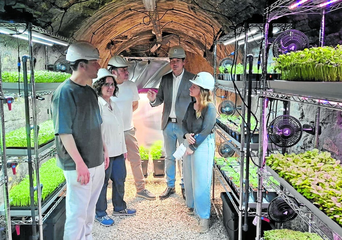 El consejero de Ciencia, Industria y Empleo, Borja Sánchez, con el alcalde de Laviana, Julio García; Mamen Oliván, directora del Serida, y los confundadores de Cantábrica Agricultura Urbana, Javier Espina y Tesa Portillo, en el huerto subterráneo del pozo Carrio