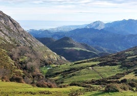 Esta ruta camina la cresta de la sierra del Sueve, coronando picos como el Babú y el Sellón antes de subirse al Pienzu. Luego, regresa al punto de partida recorriendo el hayedo de la Biescona, un bosque único lleno de magia.