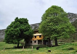 la Guardia Civil trasladó al grupo de scouts, por su propio pie, al albergue de Fayacava.