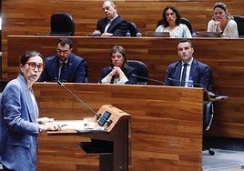 Dolores Carcedo, la portavoz del grupo socialista, se dirige al Parlamento asturiano.