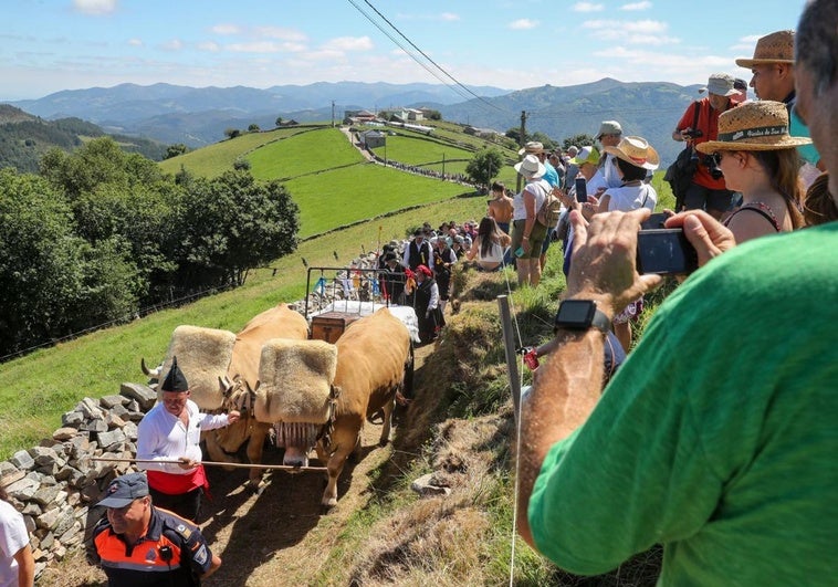 La braña de Aristébano se prepara para la boda vaqueira