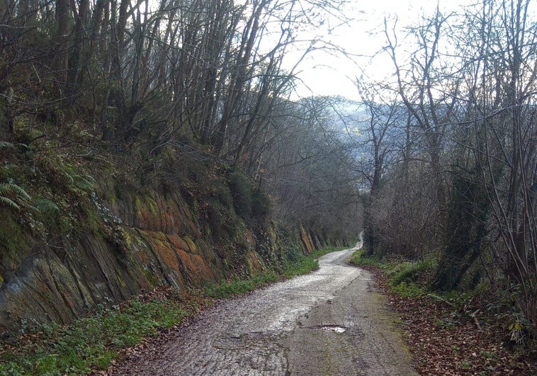 San Martín invertirá 2,4 millones en el área de limpieza y en mejorar accesos